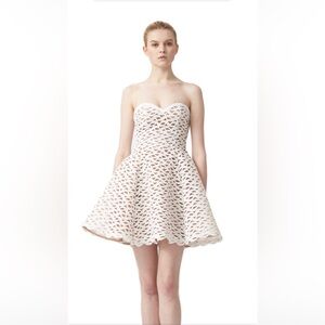 Faith Embroidered Bustier Dress in White
AIJEK